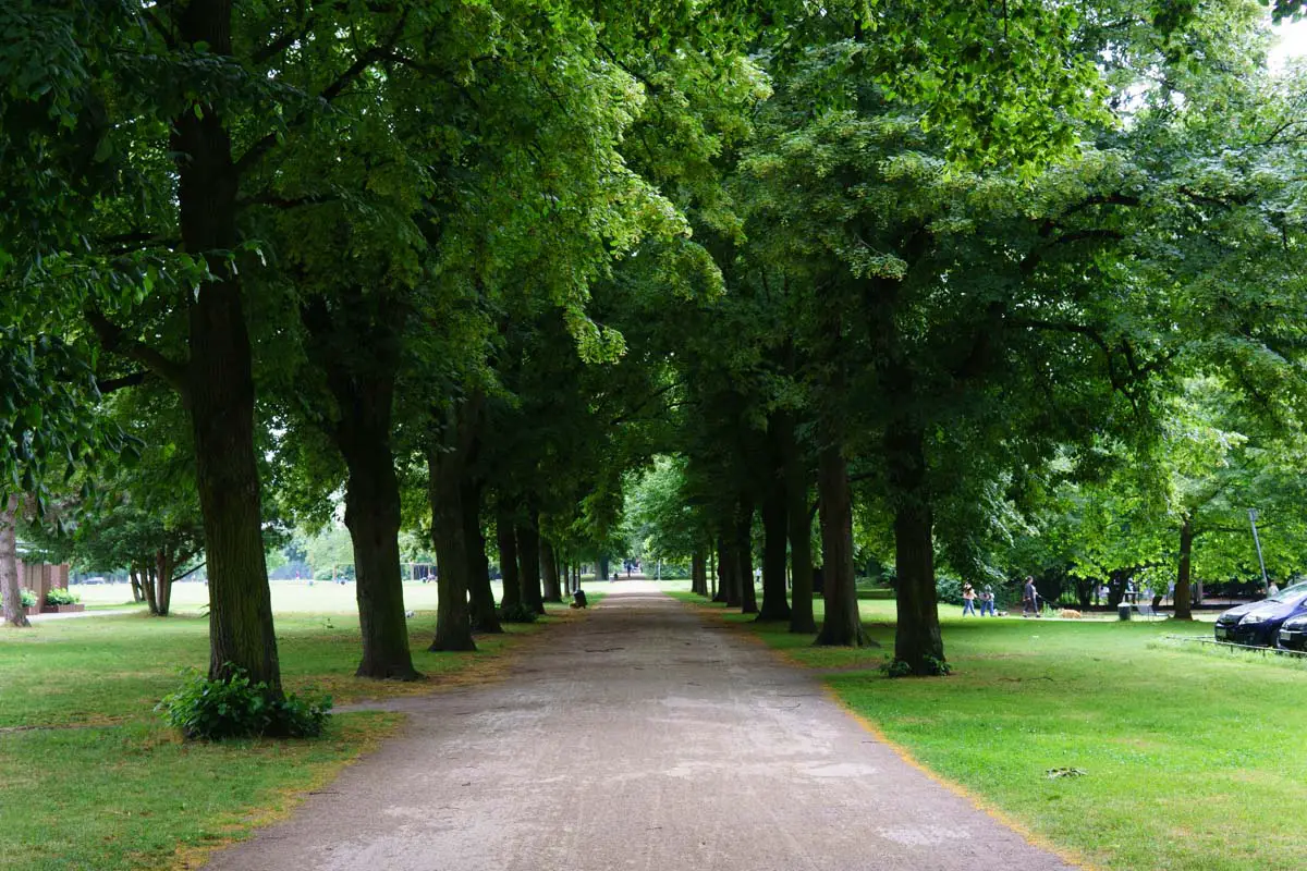 Weg im inneren Grüngürtel
