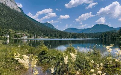Hintersee bei Ramsau: Die besten Wanderungen, Highlights & Infos